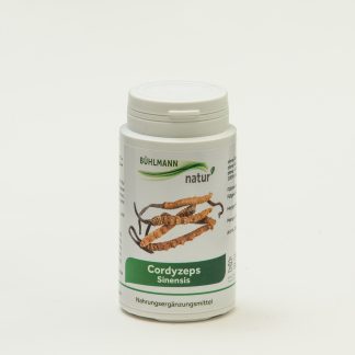 Cordyceps Kapseln